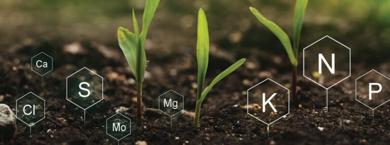 Concentração de fertilizantes