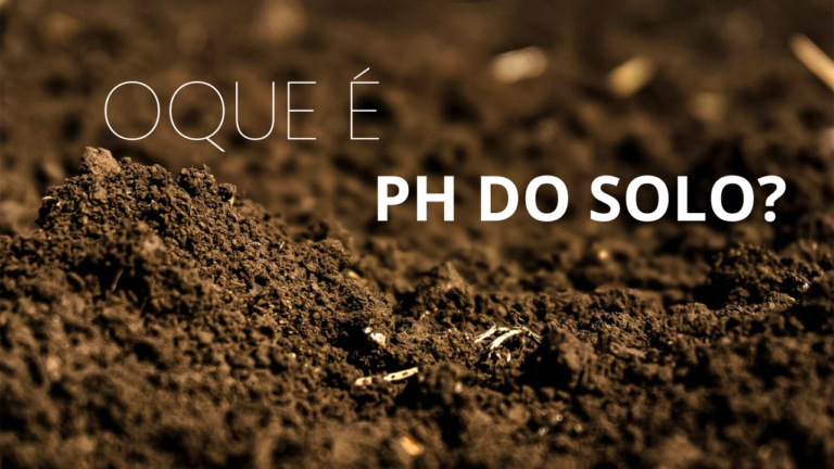 pH do Solo, oque é, qual sua importância na agricultura?