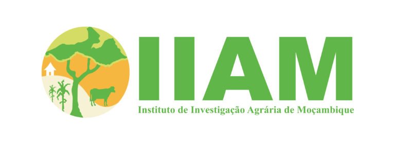 IIAM, Contratação de Consultores Individuais para Unidade de Implementação do Projecto