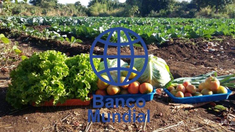 Banco Mundial duplica apoio à agricultura: US$ 9 mil milhões anuais até 2030