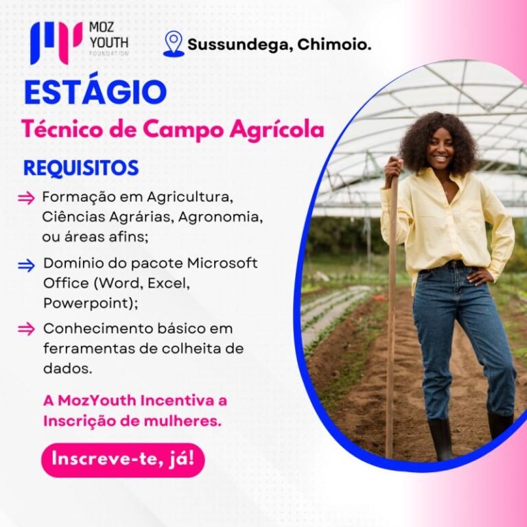 Vagas de Estágio: Técnicos de Campo na Fundação Moz Youth